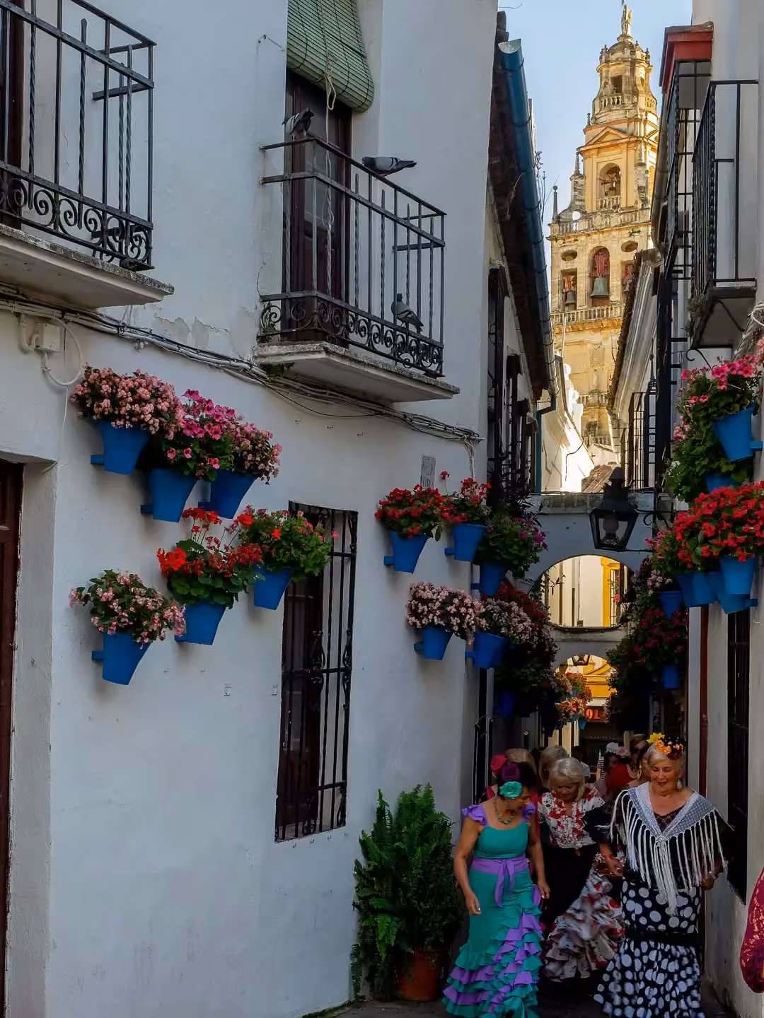 Calleja de las Flores