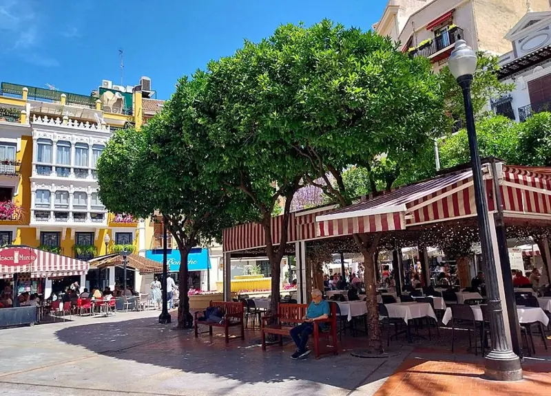 Plaza de las Flores