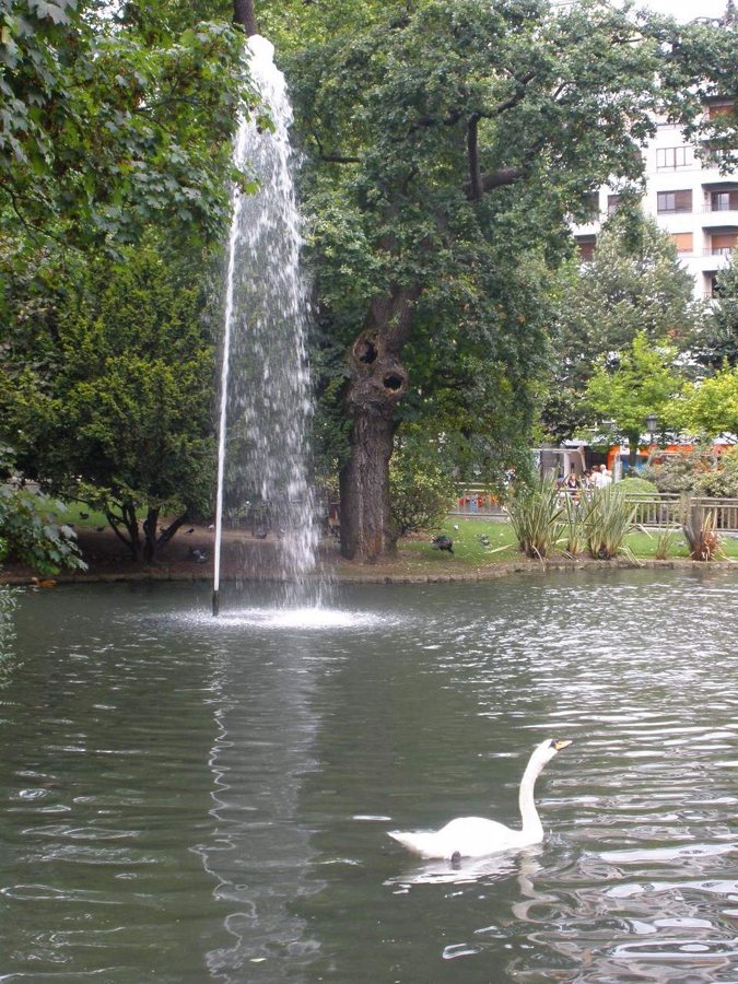 Campo San Francisco